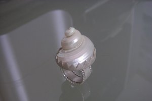 Zilveren ring met Parelmoerschelp