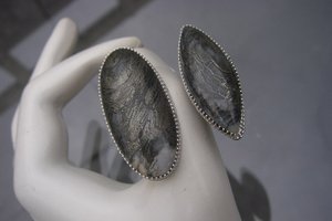 Zilveren duo ring